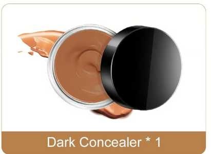 Waterdichte Dekkende Concealer voor Tatoeages Littekens en Oneffenheden 12 Uur Langdurig met Twee Tinten | Sulvida