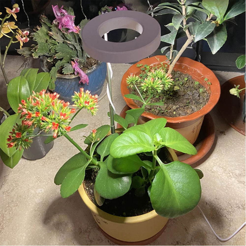 Groeilamp met Verstelbaar Statief voor Kamerplanten LED Volledig Spectrum 20-65cm Indoor Plantengroei | Sulvida