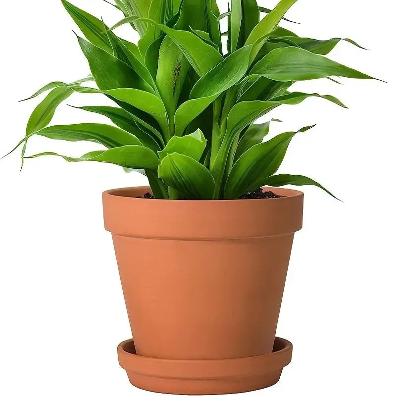 Lot de 4 pots de fleurs en terre cuite avec soucoupe et drainage, 10 cm, décoratifs pour plantes d’intérieur et d’extérieur | Sulvida