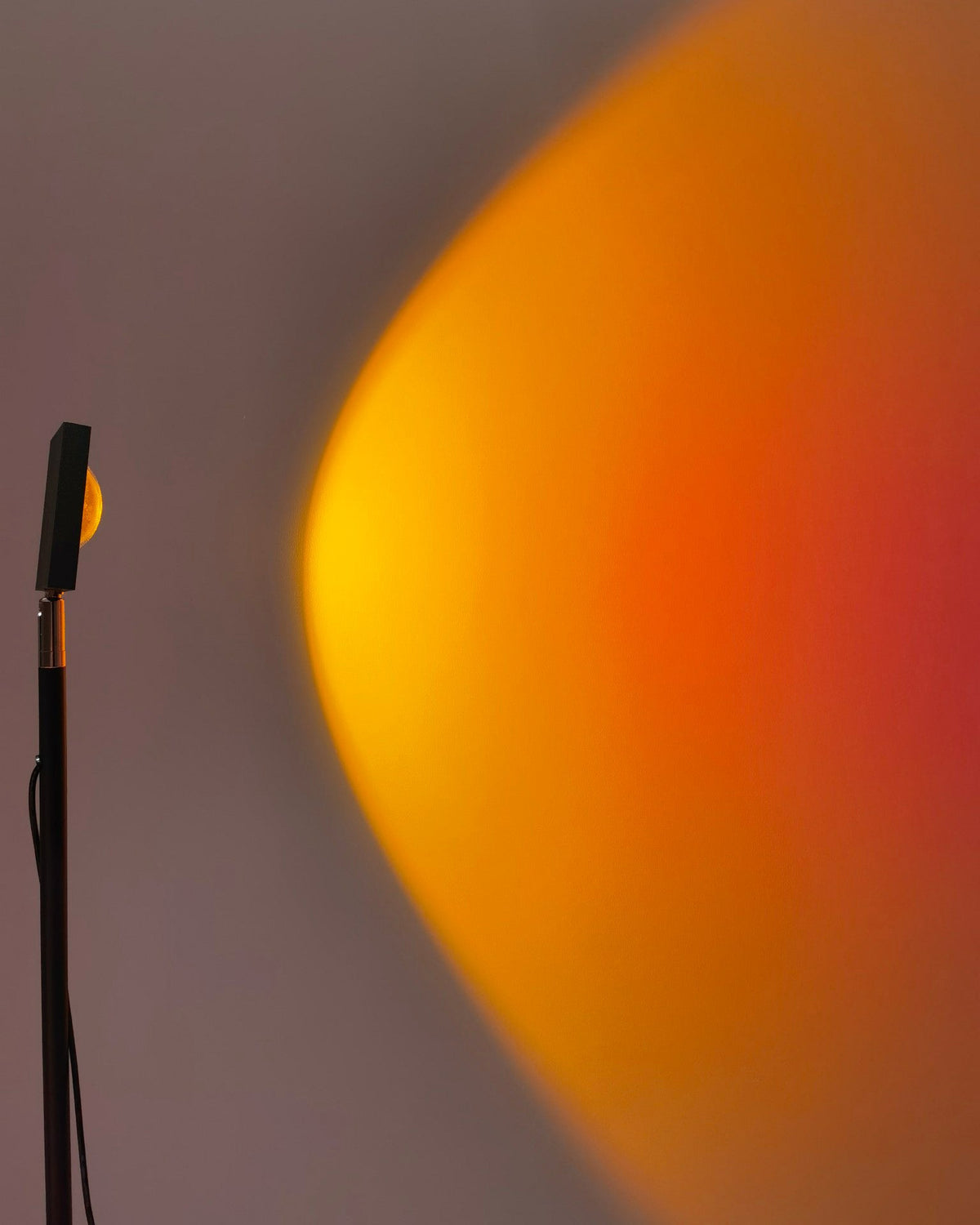 LED Staande Lamp met Halo Projectie Zwart Aluminium 180cm Sfeerverlichting voor Woonkamer Studio Modern Minimalistisch | Sulvida