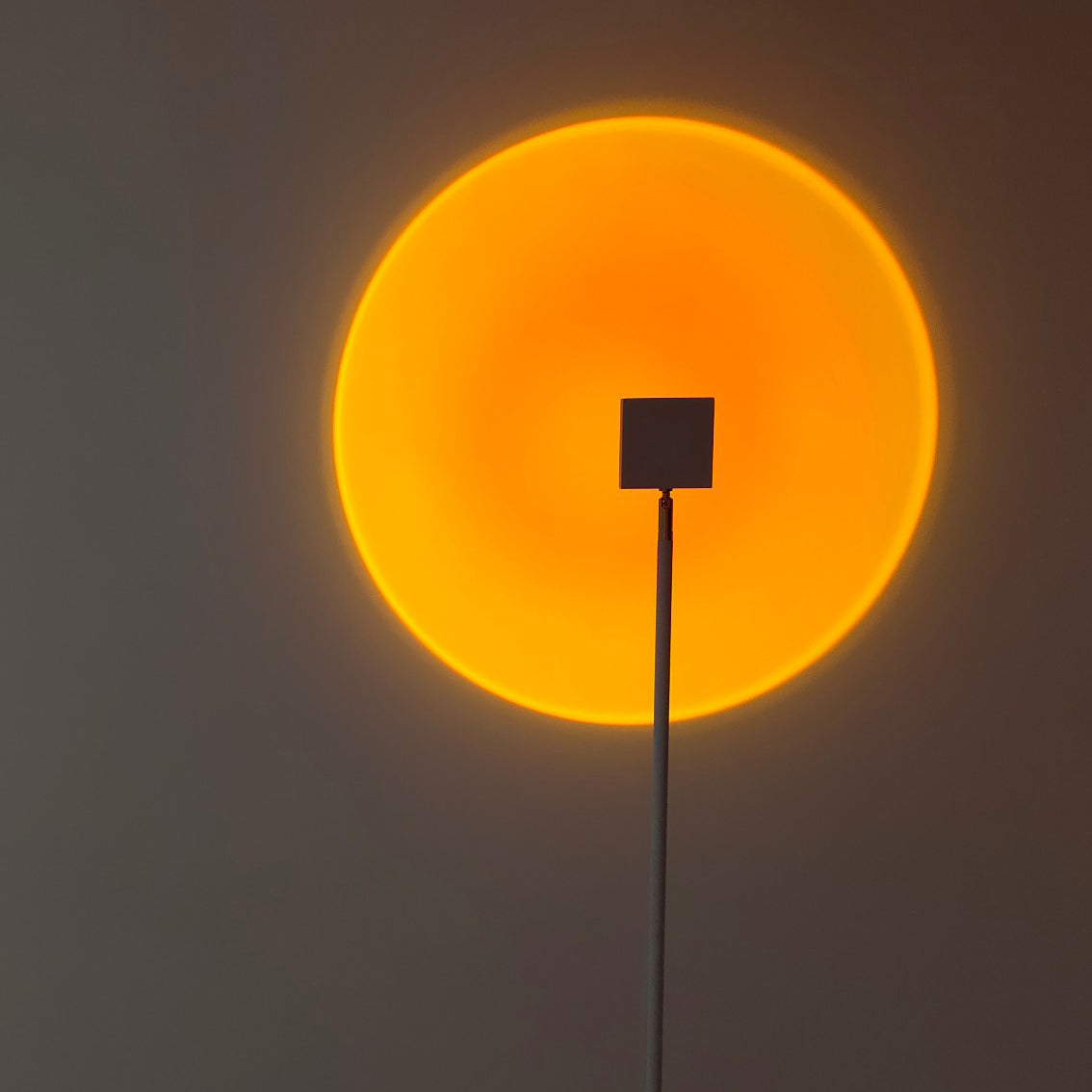 LED Staande Lamp met Halo Projectie Zwart Aluminium 180cm Sfeerverlichting voor Woonkamer Studio Modern Minimalistisch | Sulvida
