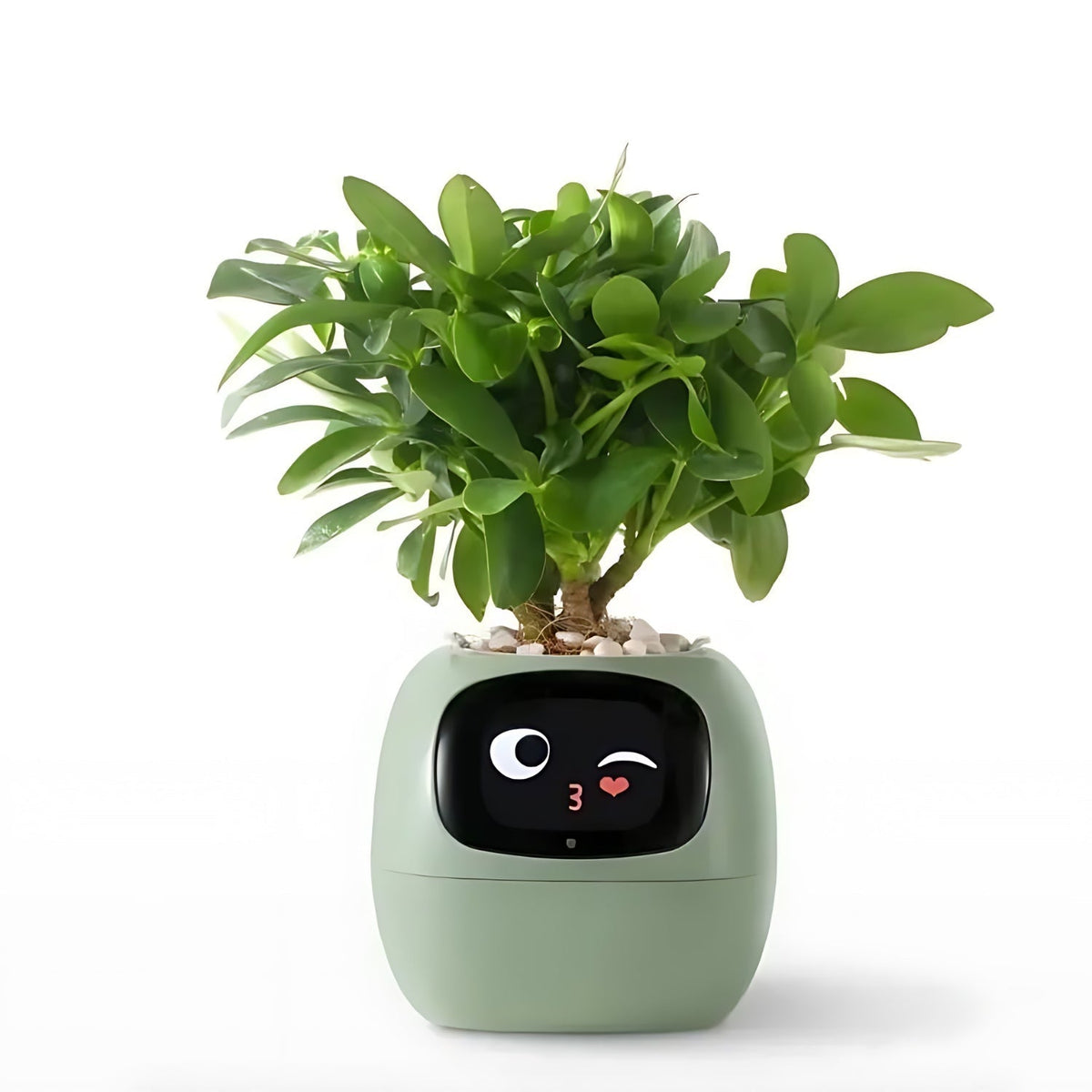 Slimme Plantenpot met Automatische Bewateringsfunctie Digitale Verzorgingsmonitor Sensor voor Kamerplanten | Sulvida