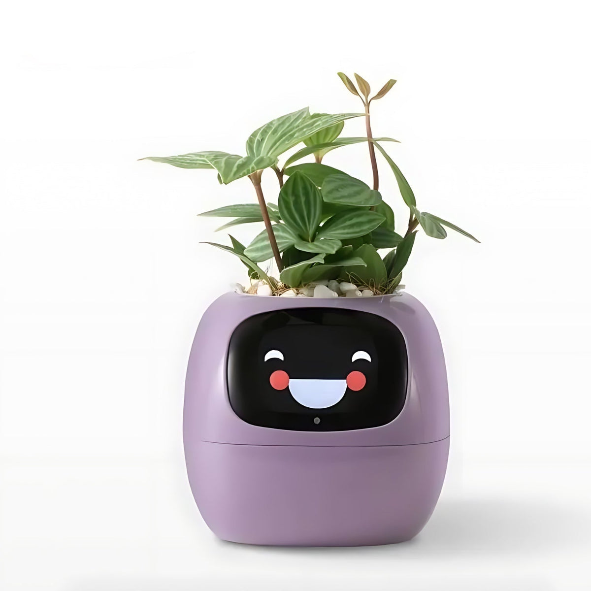 Slimme Plantenpot met Automatische Bewateringsfunctie Digitale Verzorgingsmonitor Sensor voor Kamerplanten | Sulvida