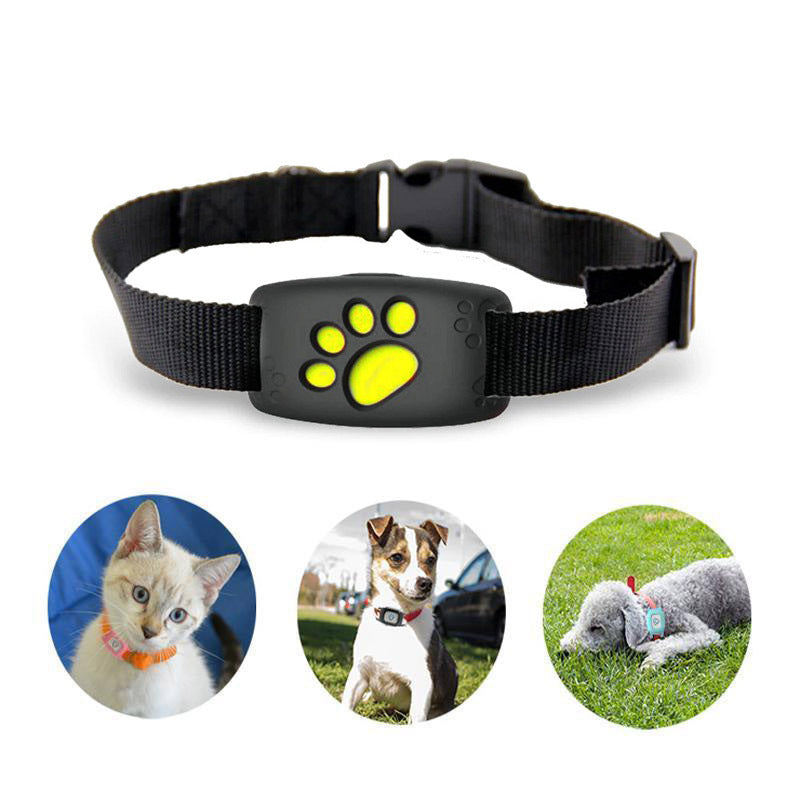 GPS-tracker voor katten en kleine honden met geo-fencing, realtime locatievolging en activiteitenmonitor | Sulvida