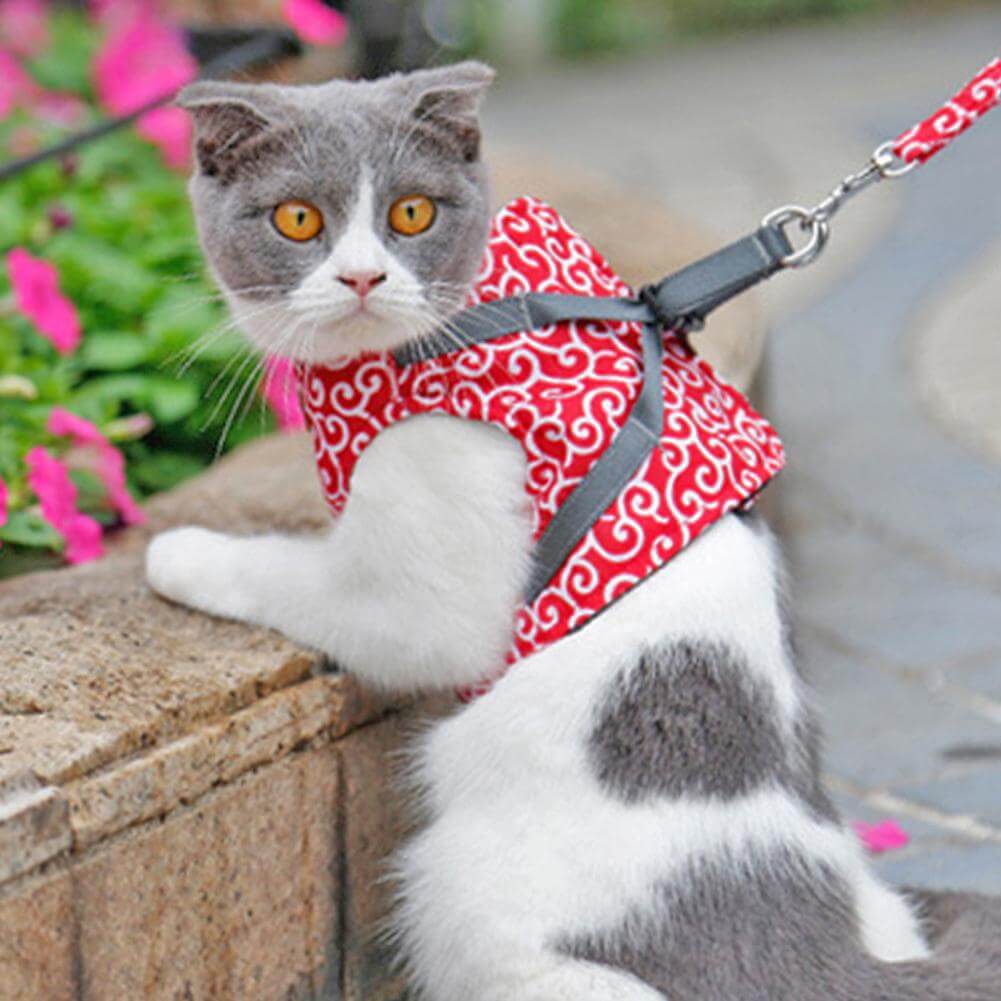 Kattenharnas met Lijn – Comfortabel Veiligheidsvest voor Katten voor Buiten – Ademend Mesh Tuigje voor Wandelen – Verstelbaar met Snelsluiting | Sulvida