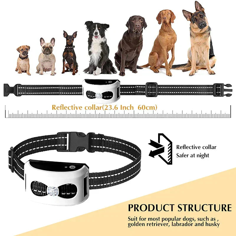 Draadloze Hondenomheining en Trainingshalsband 2-in-1 Systeem 300m Bereik Oplaadbaar Waterbestendig Hond | Sulvida