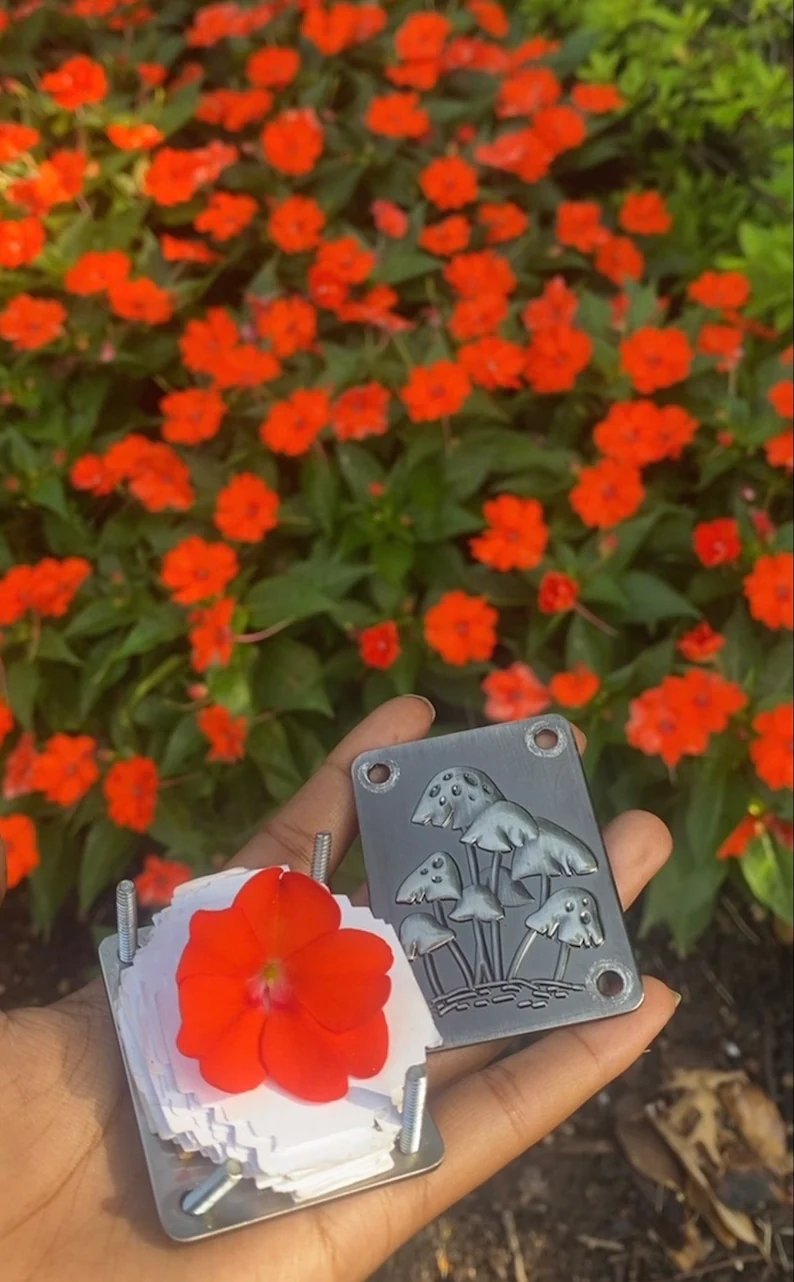 Petite presse à fleurs de poche faite à la main, herbier botanique souvenir pour sécher des fleurs sauvages, cadeau créatif | Sulvida