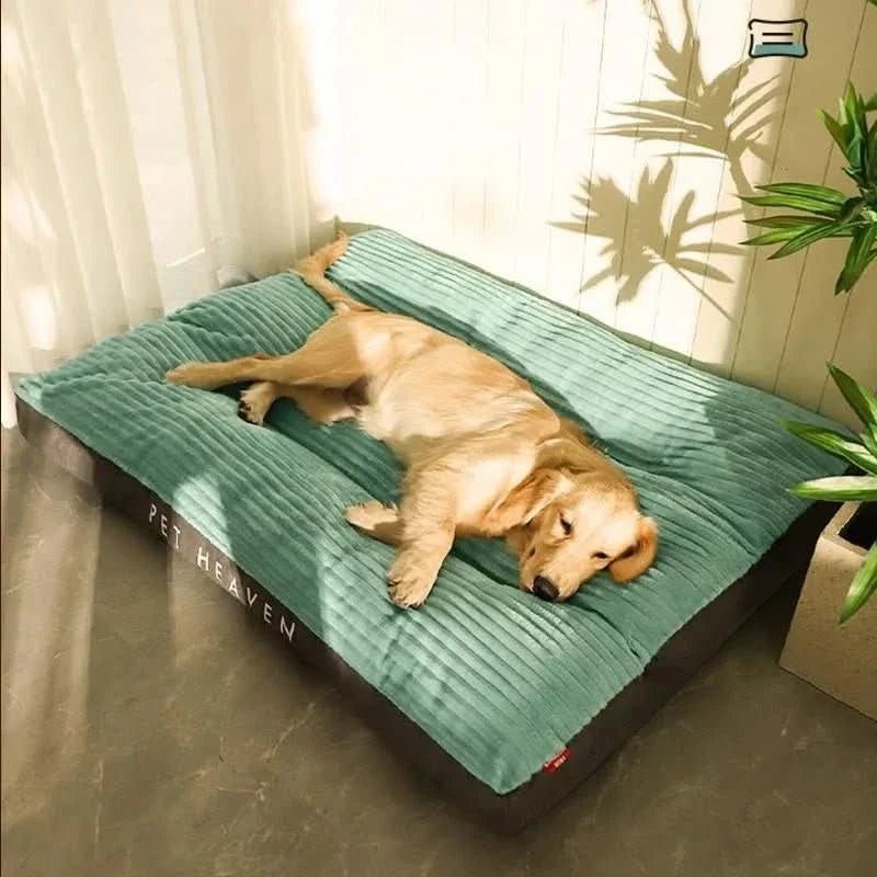 Orthopedisch Hondenkussen Pluche Mand Grijs Lichtgroen Gelenkondersteunend Rustgevend Comfort Hondenmand | Sulvida