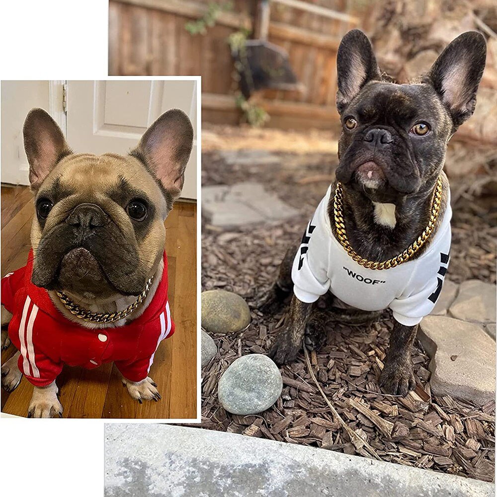 Collier métallique pour chien avec chaîne à maillons robustes, pour le dressage, l’usage quotidien et les promenades, durable | Sulvida
