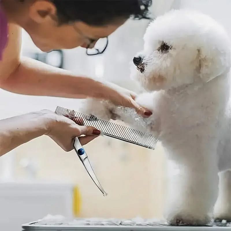 Trimscharenset voor Huisdieren met Afgeronde Punt 5-delig Verzorgingspakket Hond Kat Veilig Trimmen Thuis | Sulvida