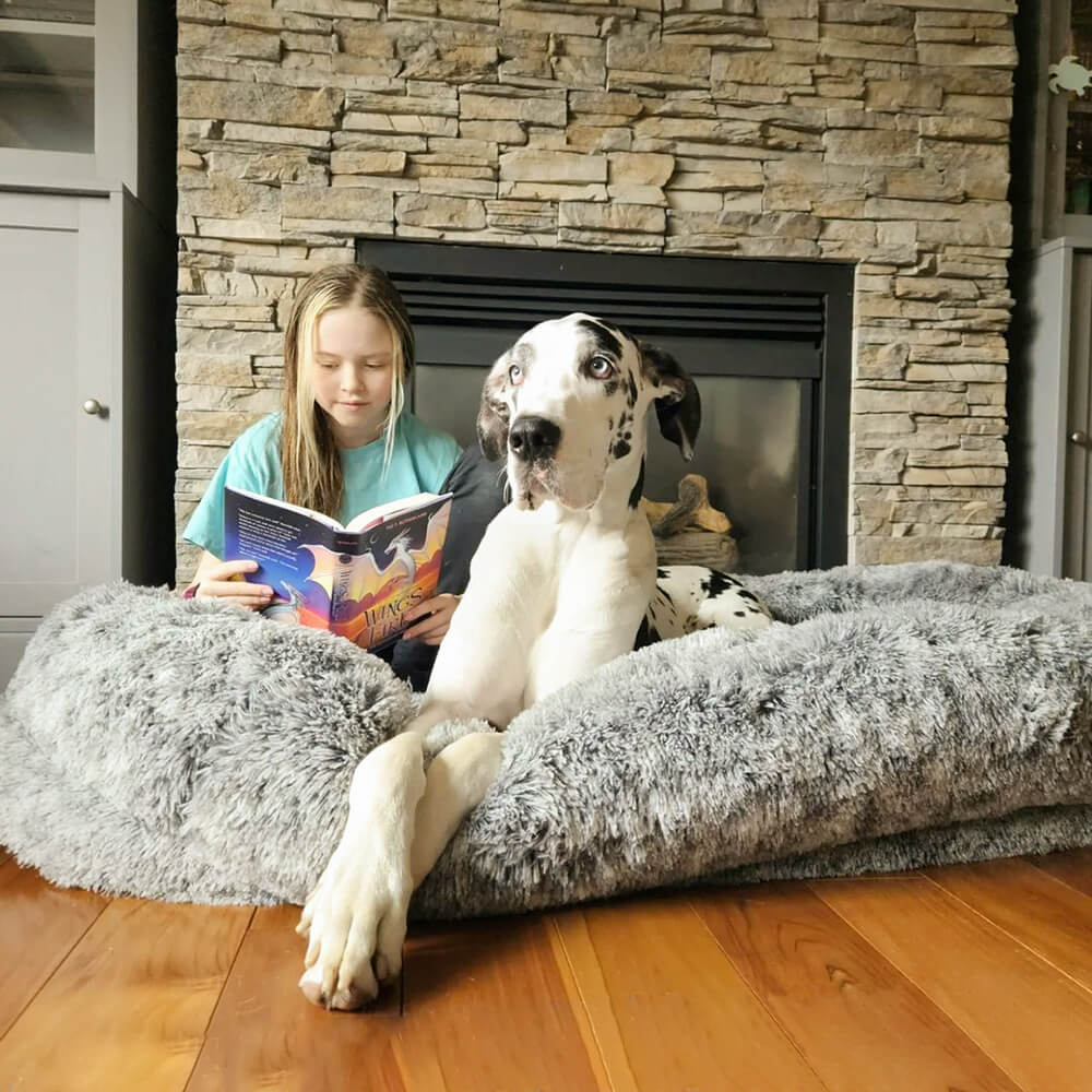 Orthopedische Donut Hondenmand met Hoge Rand Wasbaar Comfortabel Grijs Bruin Groen voor Grote Kleine Honden | Sulvida