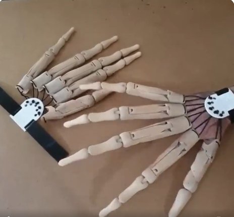 Gelede Vingerextensies Halloween Zwart Wit Skeletklauwen Feesthandschoenen Bewegend Cosplay Accessoire | Sulvida
