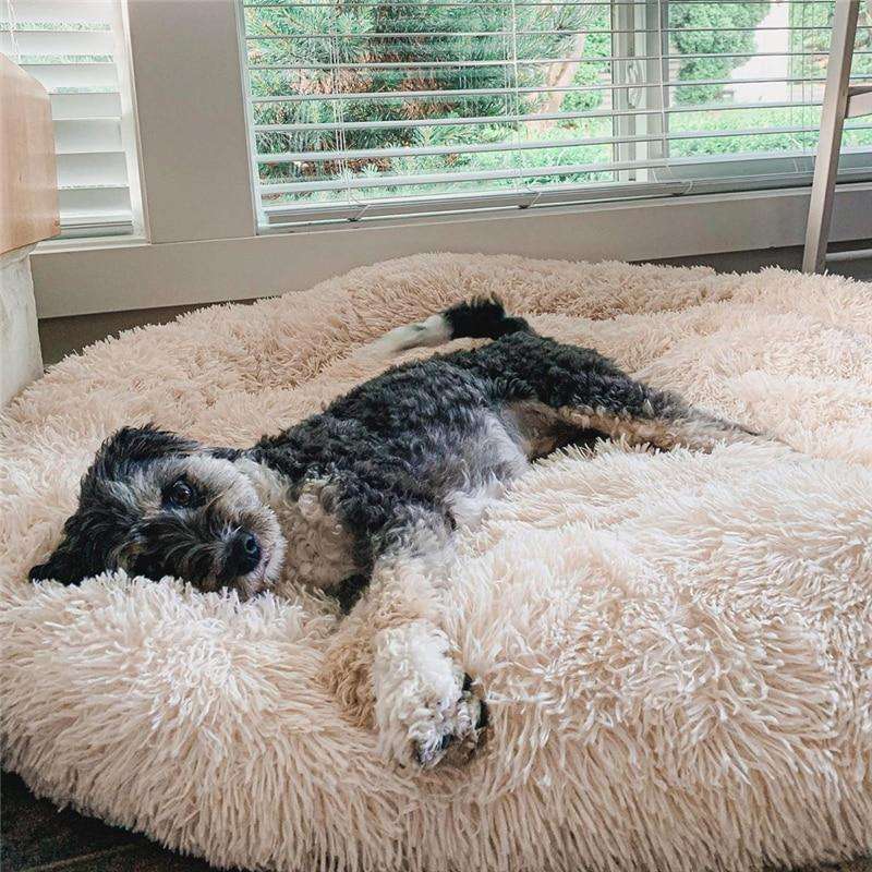 Donut Hondenmand Pluche Kalmerend Bed Anxiety Relief Comfortabel Nest voor Honden en Katten Huisdieren | Sulvida