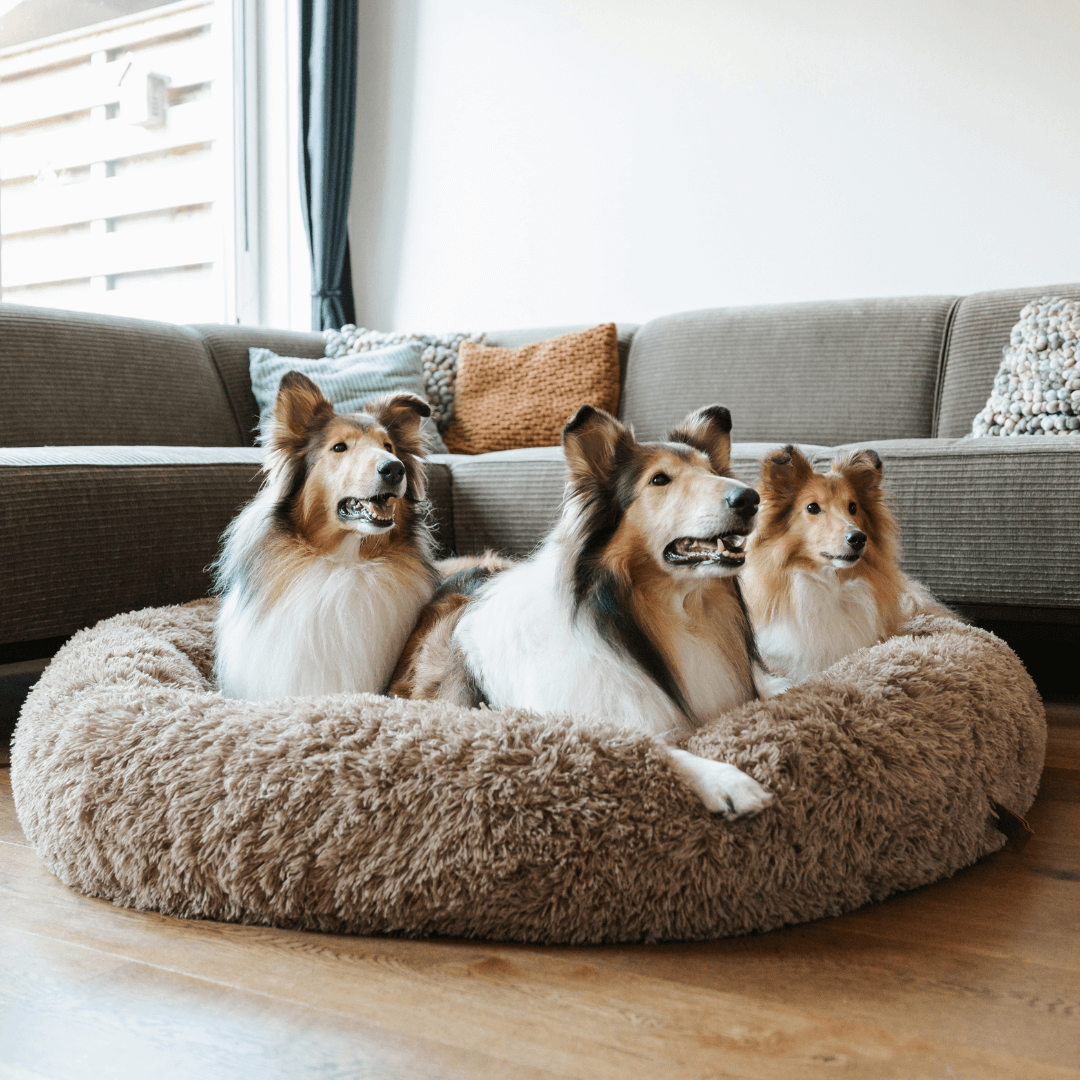 Donut Hondenmand Pluche Kalmerend Bed Anxiety Relief Comfortabel Nest voor Honden en Katten Huisdieren | Sulvida