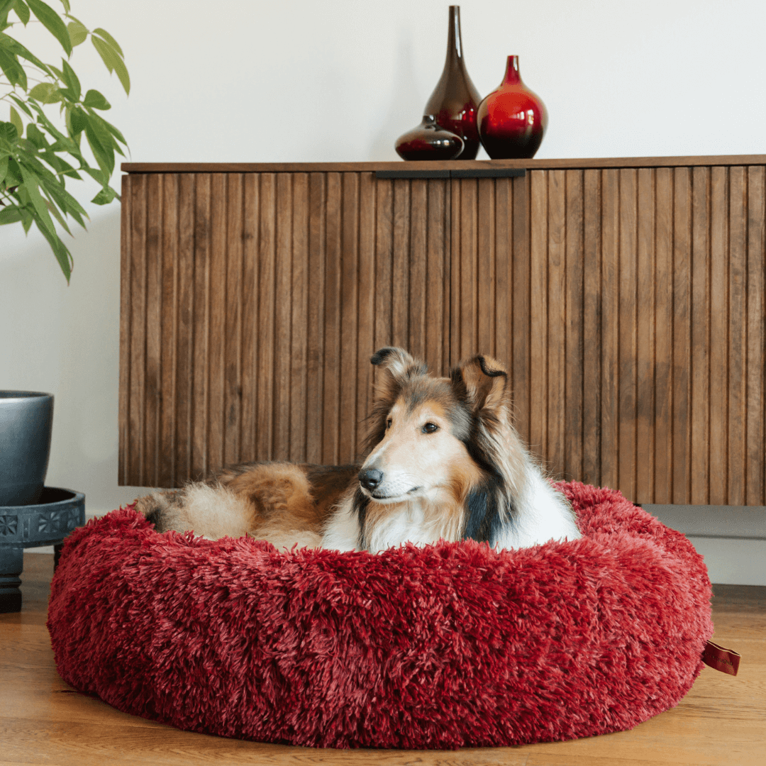 Donut Hondenmand Pluche Kalmerend Bed Anxiety Relief Comfortabel Nest voor Honden en Katten Huisdieren | Sulvida