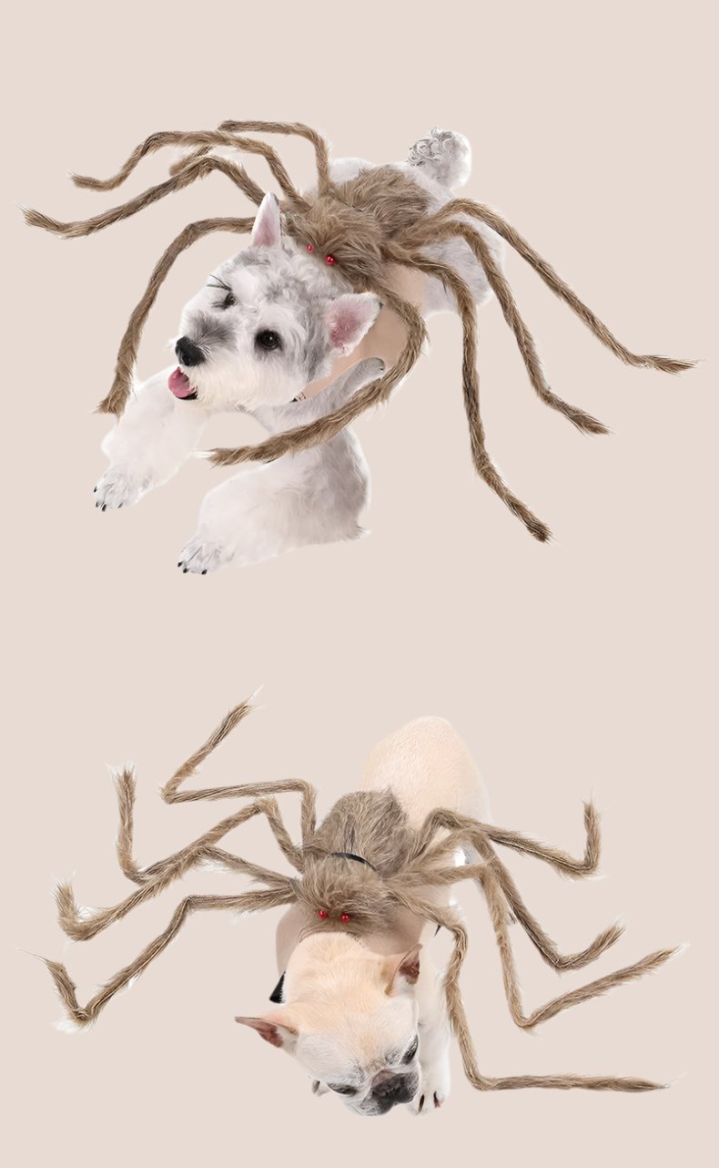 Spinnen Halloween Kostuum voor Huisdieren – Grappige Verkleedkleding voor Hond en Kat met Realistische Poten | Sulvida