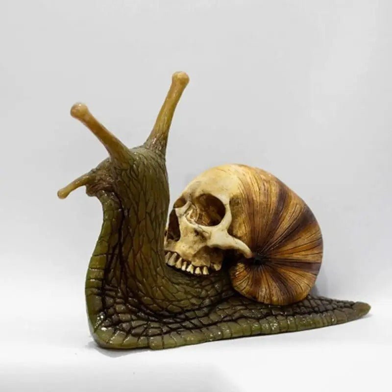 Gotisch Slakbeeld met Schedel - Weersbestendig Tuinornament van Hars voor Binnen en Buiten - Gothic Decoratie | Sulvida