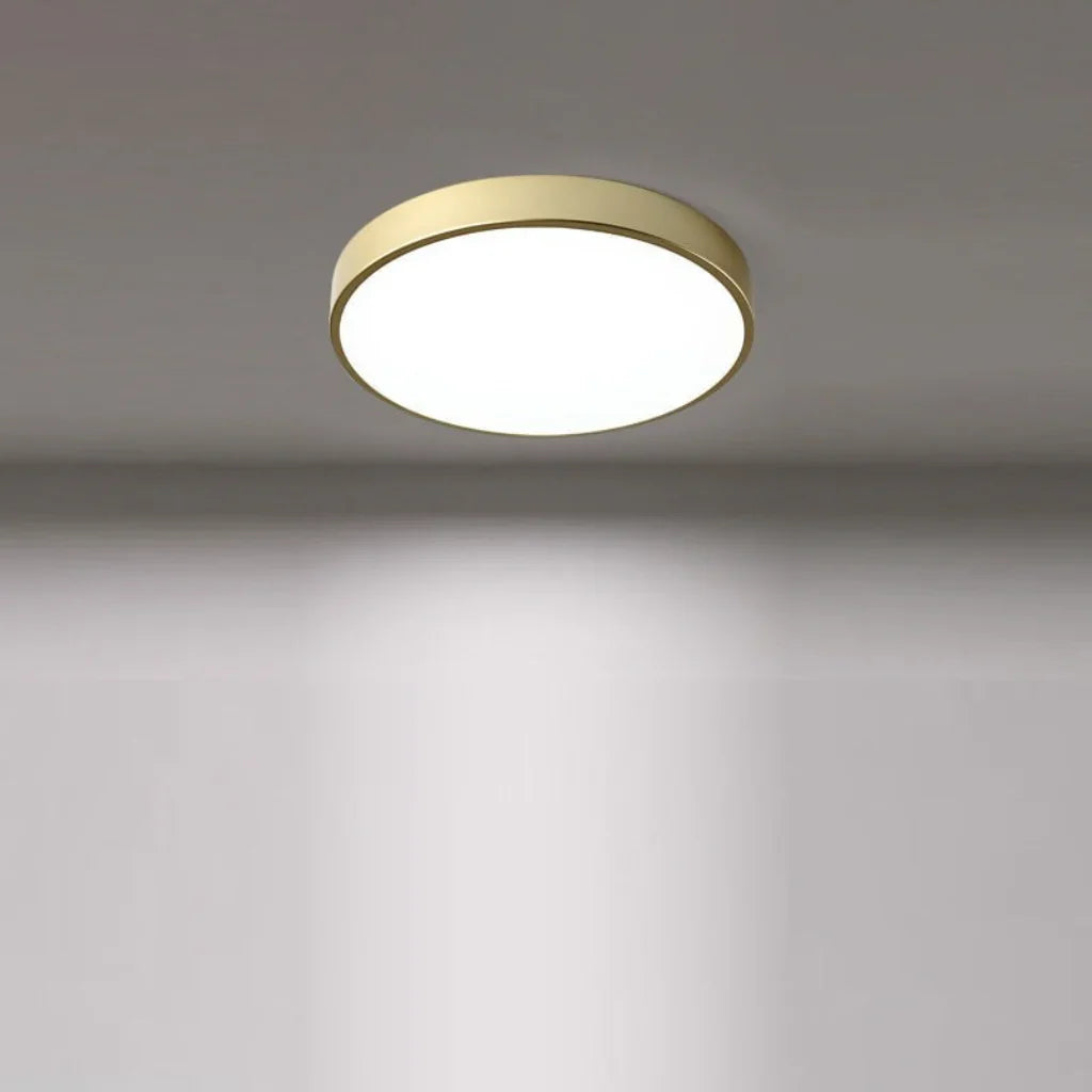 Ronde Plafondlamp IJzer Acryl LED Verlichting Modern Design Woonkamer Slaapkamer Eetkamer Hal Dimbaar | Sulvida