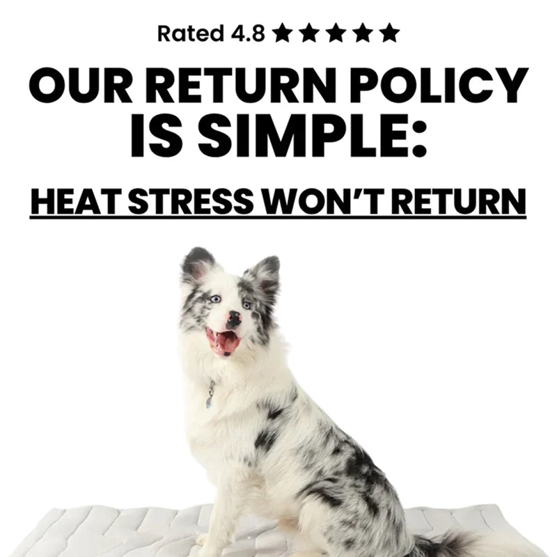 Tapis rafraîchissant pour chiens – Couchage auto-refroidissant sans électricité ni congélateur – Sécurité OEKO-TEX S M L XL | Sulvida
