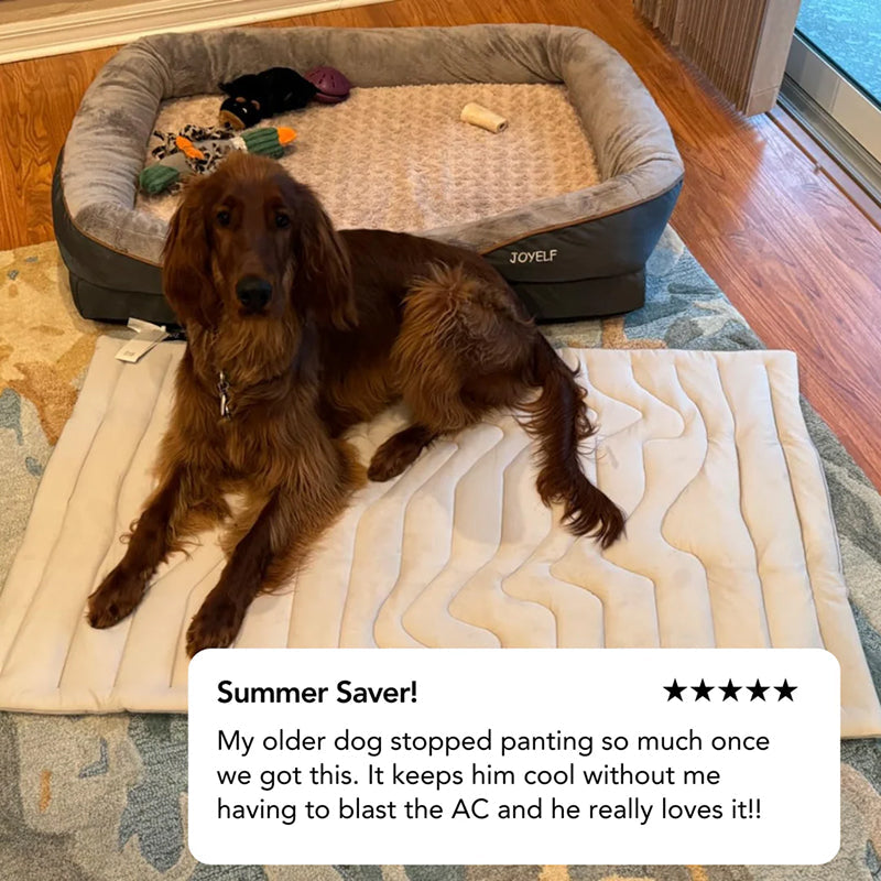 Tapis rafraîchissant pour chiens – Couchage auto-refroidissant sans électricité ni congélateur – Sécurité OEKO-TEX S M L XL | Sulvida
