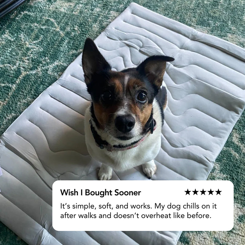 Tapis rafraîchissant pour chiens – Couchage auto-refroidissant sans électricité ni congélateur – Sécurité OEKO-TEX S M L XL | Sulvida