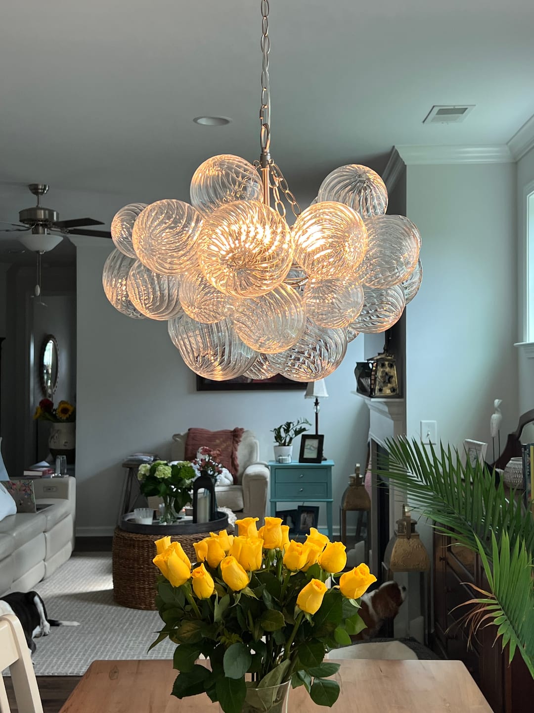 Glazen Bollenkroonluchter Geribbeld Glas 3 of 8 Lichtpunten Hanglamp Messing Nikkel Zwart Dimbaar Eetkamer | Sulvida