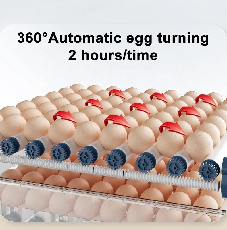Automatische Broedmachine Eierbroeder 15 24 36 Eieren Digitale Temperatuurregeling Vogelhouderij Kuikens Pluimvee | Sulvida