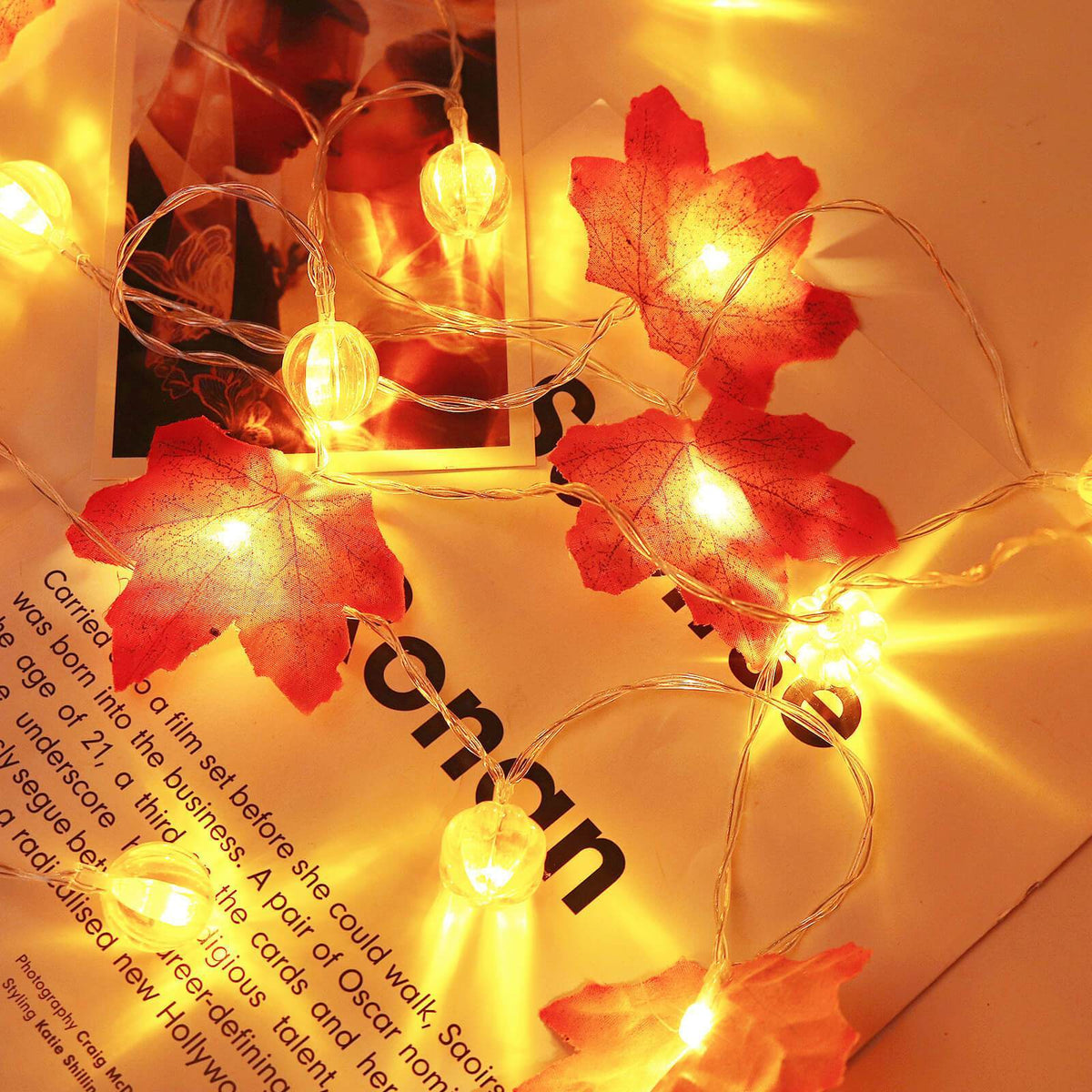 LED-Lichtsnoer Herfstbladeren & Pompoenen 3m – Warmwit Sfeerverlichting Decoratie voor Binnen & Buiten | Sulvida