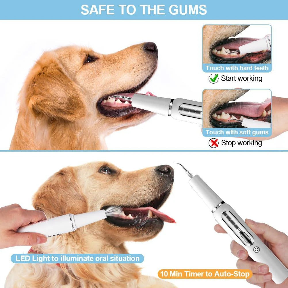 Outil ultrasonique de nettoyage des dents pour chiens, soin des animaux, électrique, 32-40 KHz, lumière LED | Sulvida
