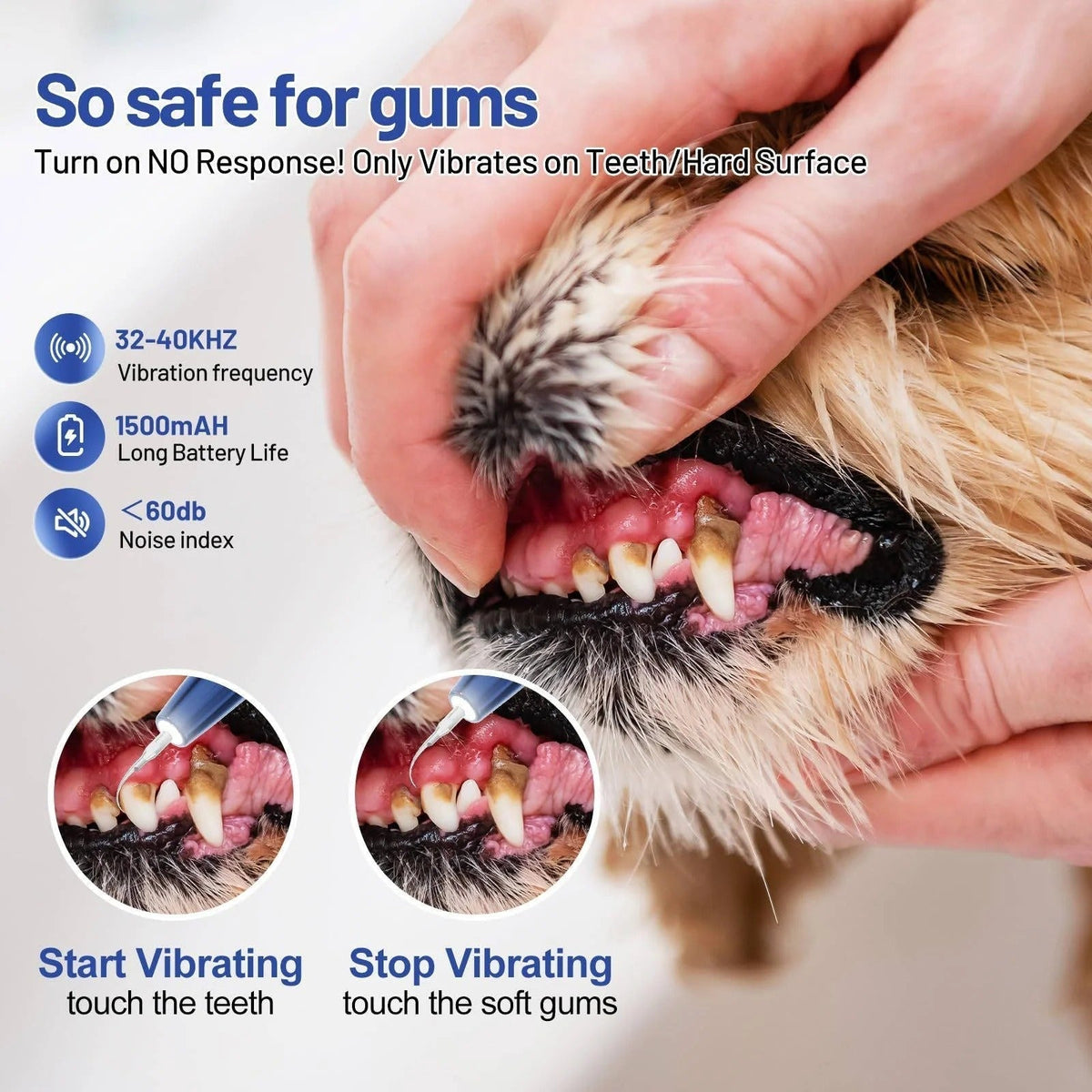 Outil ultrasonique de nettoyage des dents pour chiens, soin des animaux, électrique, 32-40 KHz, lumière LED | Sulvida