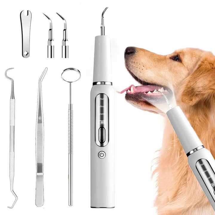 Outil ultrasonique de nettoyage des dents pour chiens, soin des animaux, électrique, 32-40 KHz, lumière LED | Sulvida