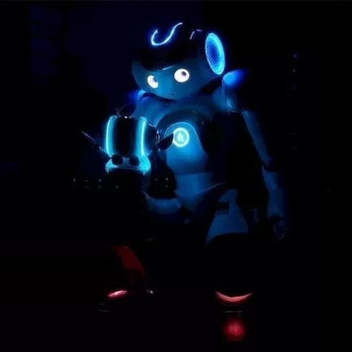 Humanoïde AI-Robot met Spraakherkenning 25 Vrijheidsgraden Meertalig Interactief Programmeerbaar Speelgoed | Sulvida