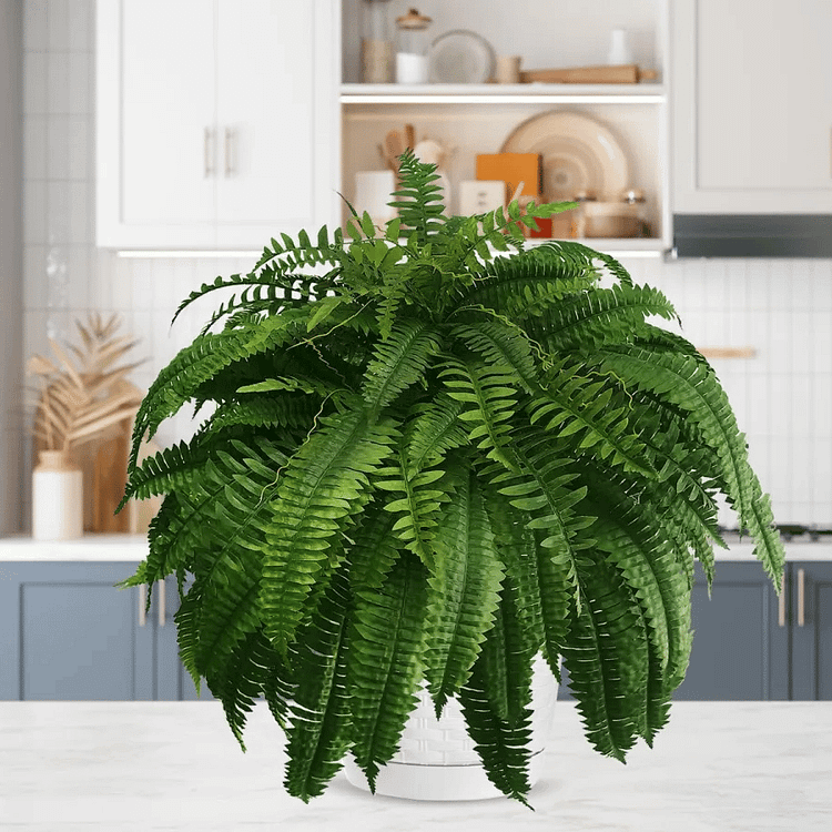 Kunstplant Bosvarens Set UV-Bestendig Waterbestendig 18 Stuks Kunstig Groen voor Binnen Buiten Wand Decoratie | Sulvida
