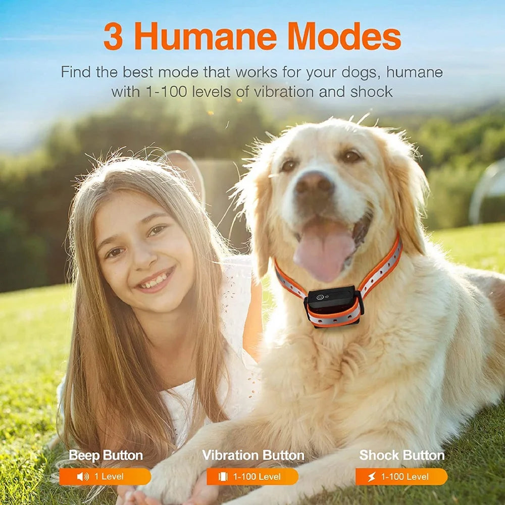 Collier de dressage pour chien avec télécommande, portée de 1000m – 3 modes, rechargeable, étanche, outil de dressage | Sulvida