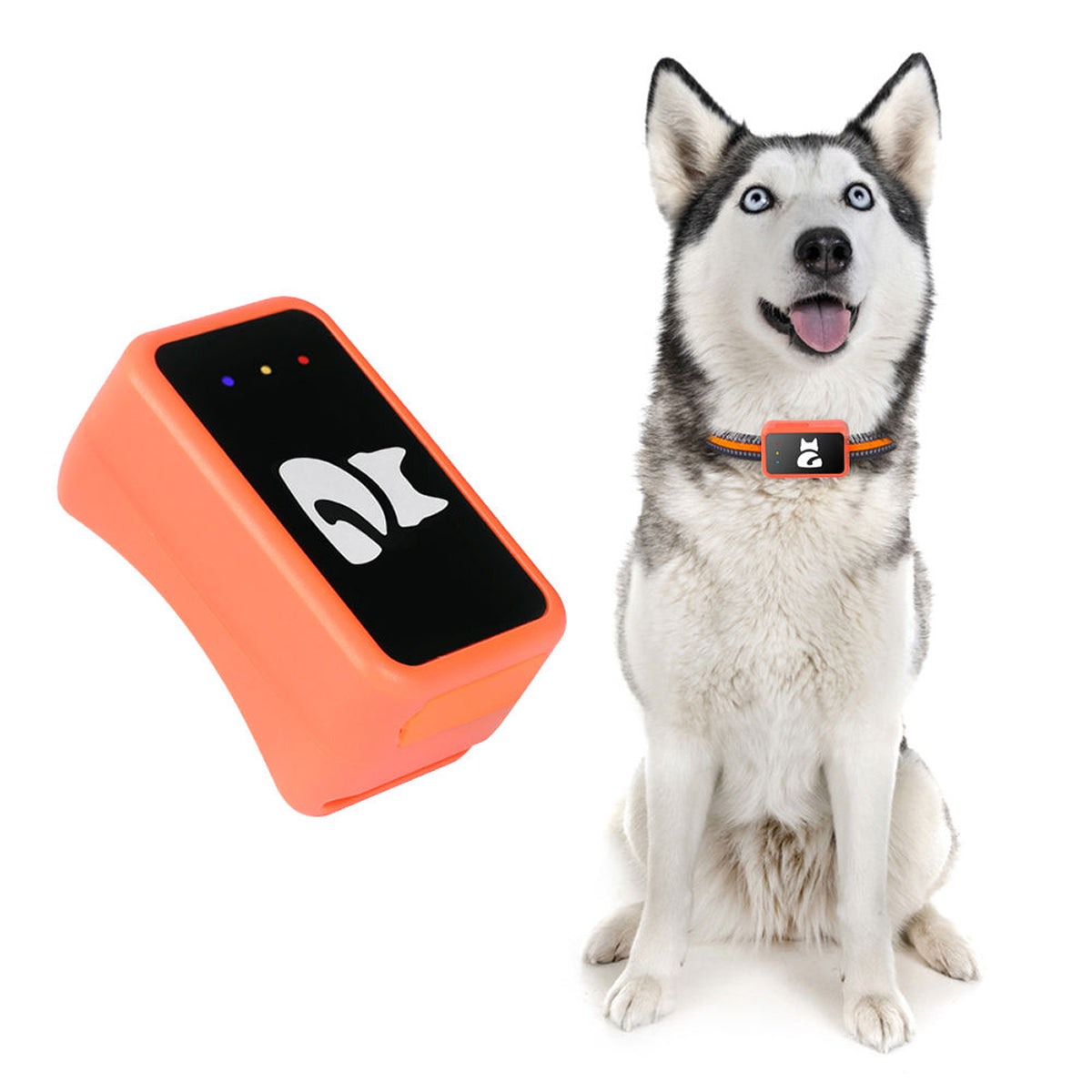 Traceur GPS pour animaux sans abonnement, avec suivi de localisation en temps réel et fonction d’alerte de géorepérage | Sulvida
