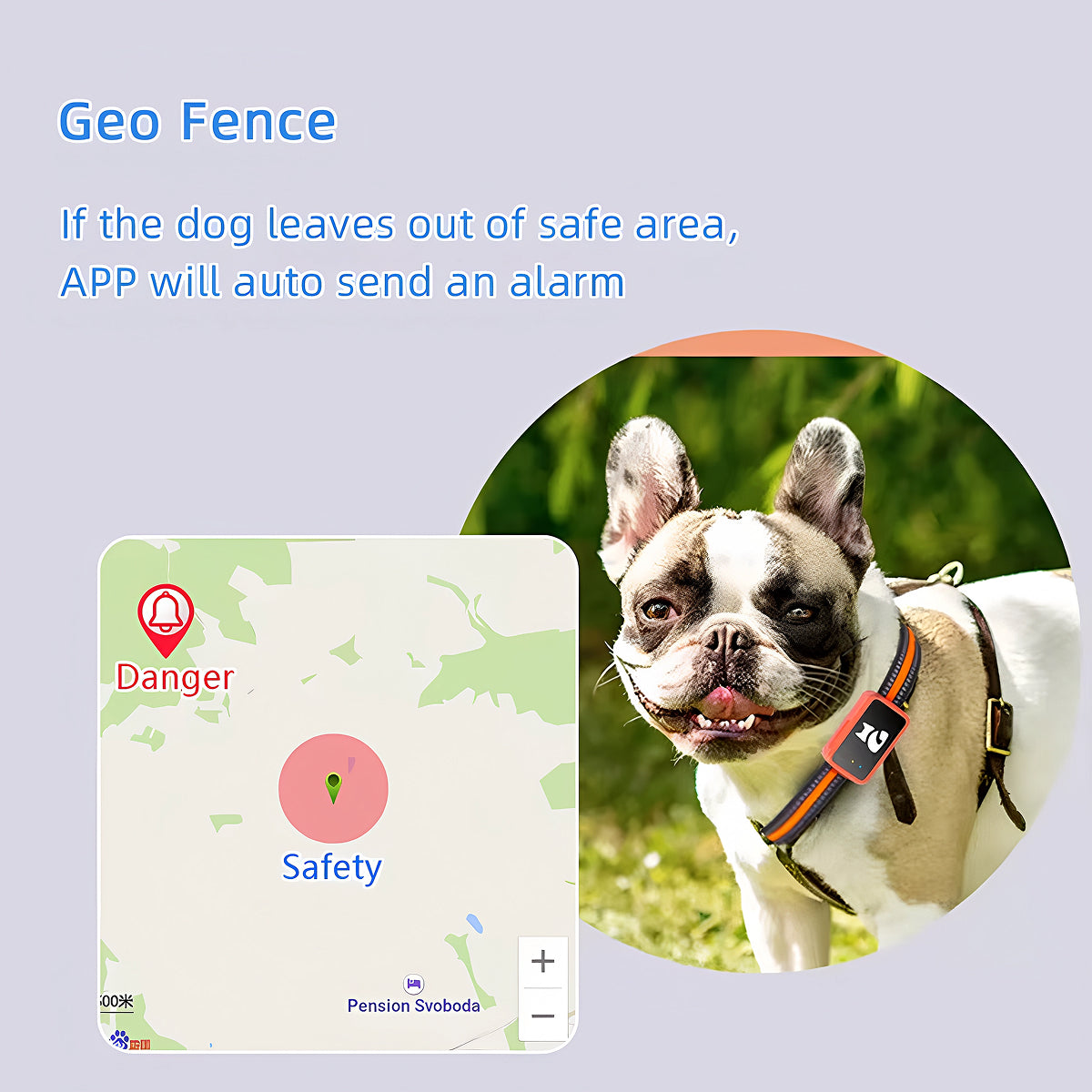 Traceur GPS pour animaux de compagnie avec localisation en temps réel et géorepérage | Appareil compact de 27g pour chat, chien et bagages | Sulvida