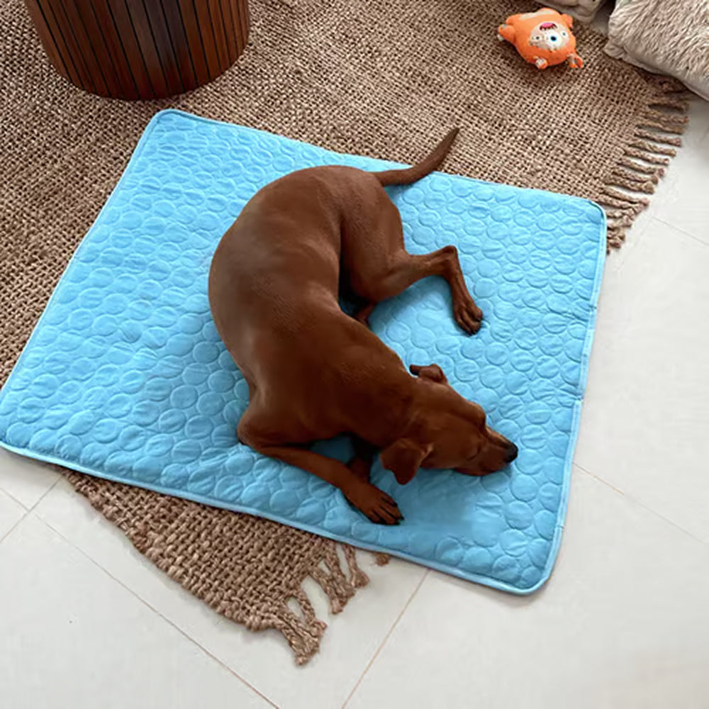 Tapis rafraîchissant autorégulant pour chiens, toutes tailles, sans gel, lavable en machine, accessoire rafraîchissant pour animaux en été | Sulvida