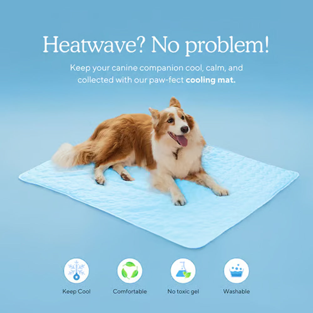 Tapis rafraîchissant autorégulant pour chiens, toutes tailles, sans gel, lavable en machine, accessoire rafraîchissant pour animaux en été | Sulvida