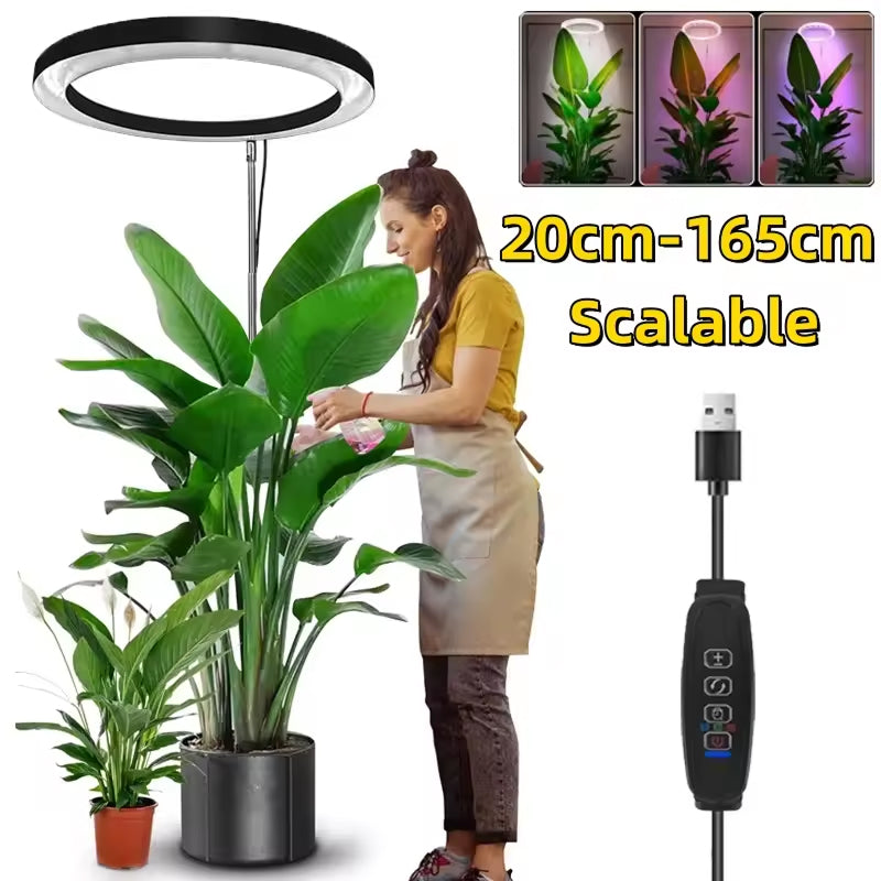 Lampe de croissance LED pour plantes, réglable de 20-165cm, spectre complet, USB, avec minuterie et variateur, pour plantes d’intérieur | Sulvida