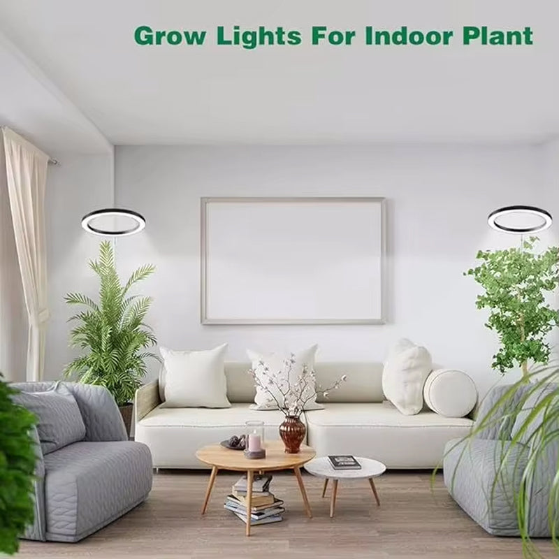 Lampe de croissance LED pour plantes, réglable de 20-165cm, spectre complet, USB, avec minuterie et variateur, pour plantes d’intérieur | Sulvida
