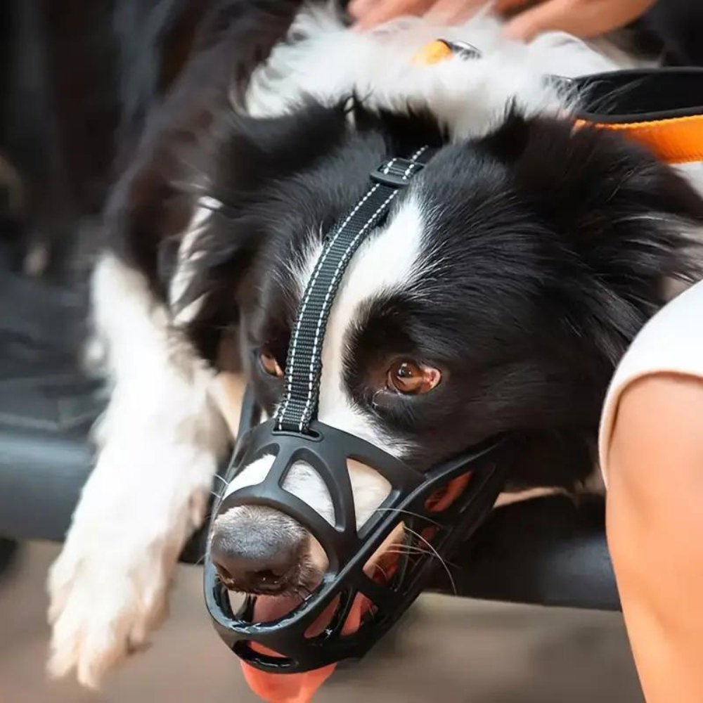 Hondensnuit Verstelbare Ademende Muilkorf voor Honden Anti-Bijten en Anti-Blaffen Oplossing Veilige Comfortabele Hondenmuilkorf Geschikt voor Middel Grote Honden | Sulvida