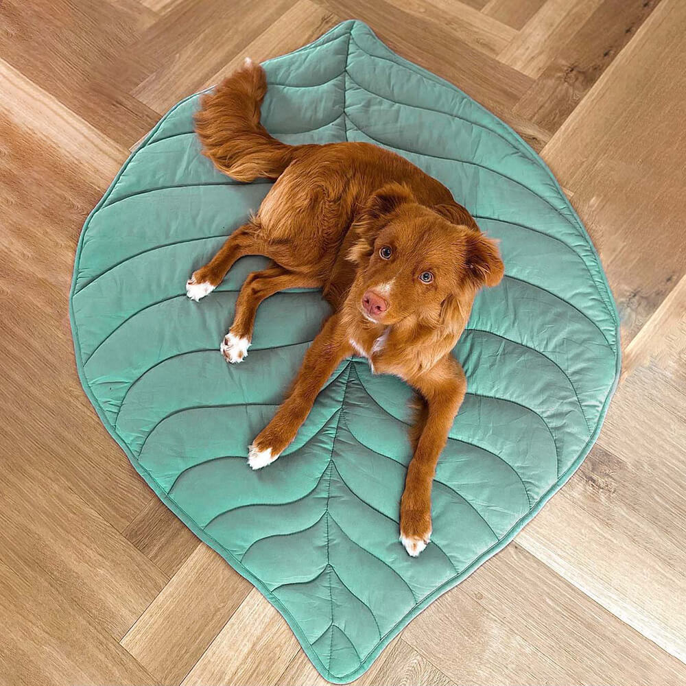 Hondendeken Bladvorm Katoenmix Zachte Kleed Grote Honden Bank Bescherming Decoratief Huisdierkleed Woonkamer | Sulvida