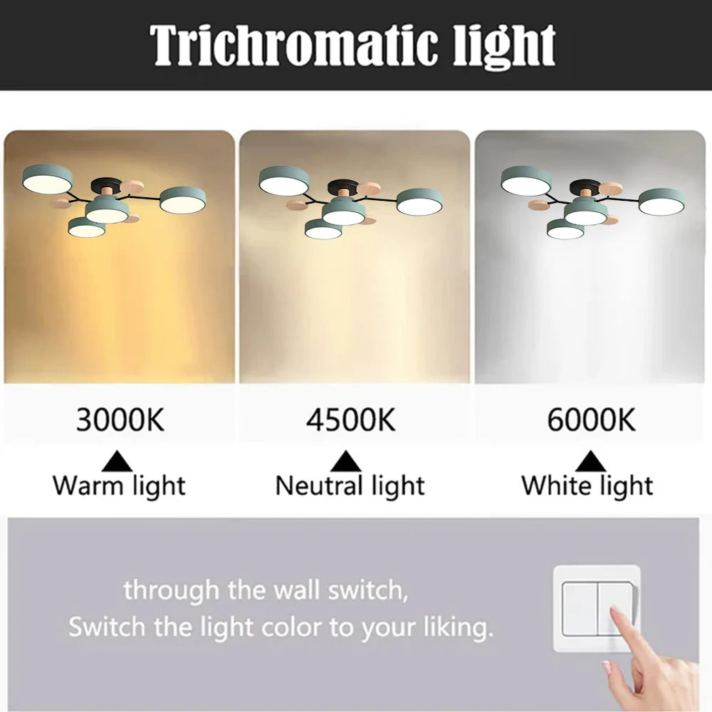 LED Plafondlamp Halo Cirkel IJzer Acryl Dimbaar 4 5 6 7 Lichtpunten Modern Design Woon Slaapkamer Verstelbaar | Sulvida