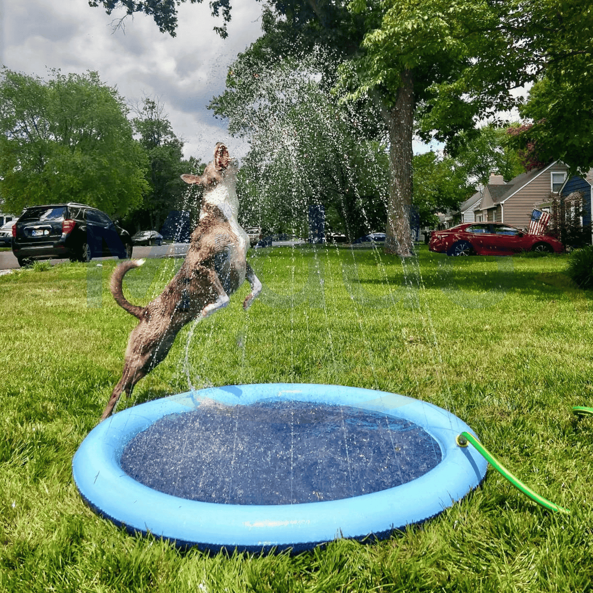 Waterspeelmat voor kinderen en huisdieren tuinspeelgoed sprinkler speelkleed zomer waterplezier buitenspelen | Sulvida