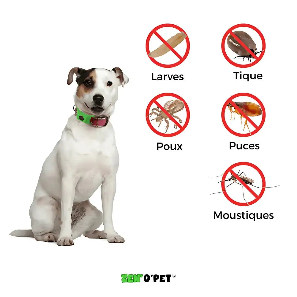 Antiparasitaire halsband hond 8 maanden bescherming tegen vlooien en teken natuurlijk waterbestendig comfort | Sulvida