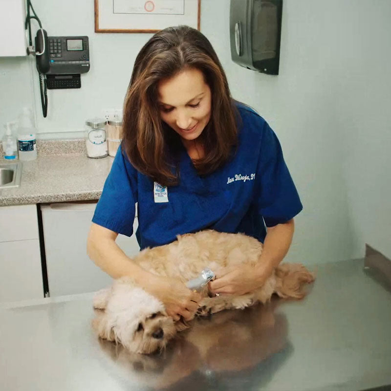 Nagelknipper voor Honden met Veiligheidssensor Anti-Bloeding Ergonomisch Antislip Handvat Professionele Trimmer | Sulvida