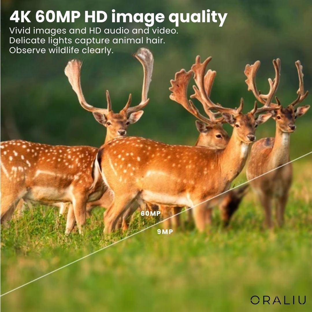 Wildcamera 4K Ultra HD met 60MP Sensor en App-Bediening voor Natuurfotografie Wildlife Observatie Dag en Nacht | Sulvida