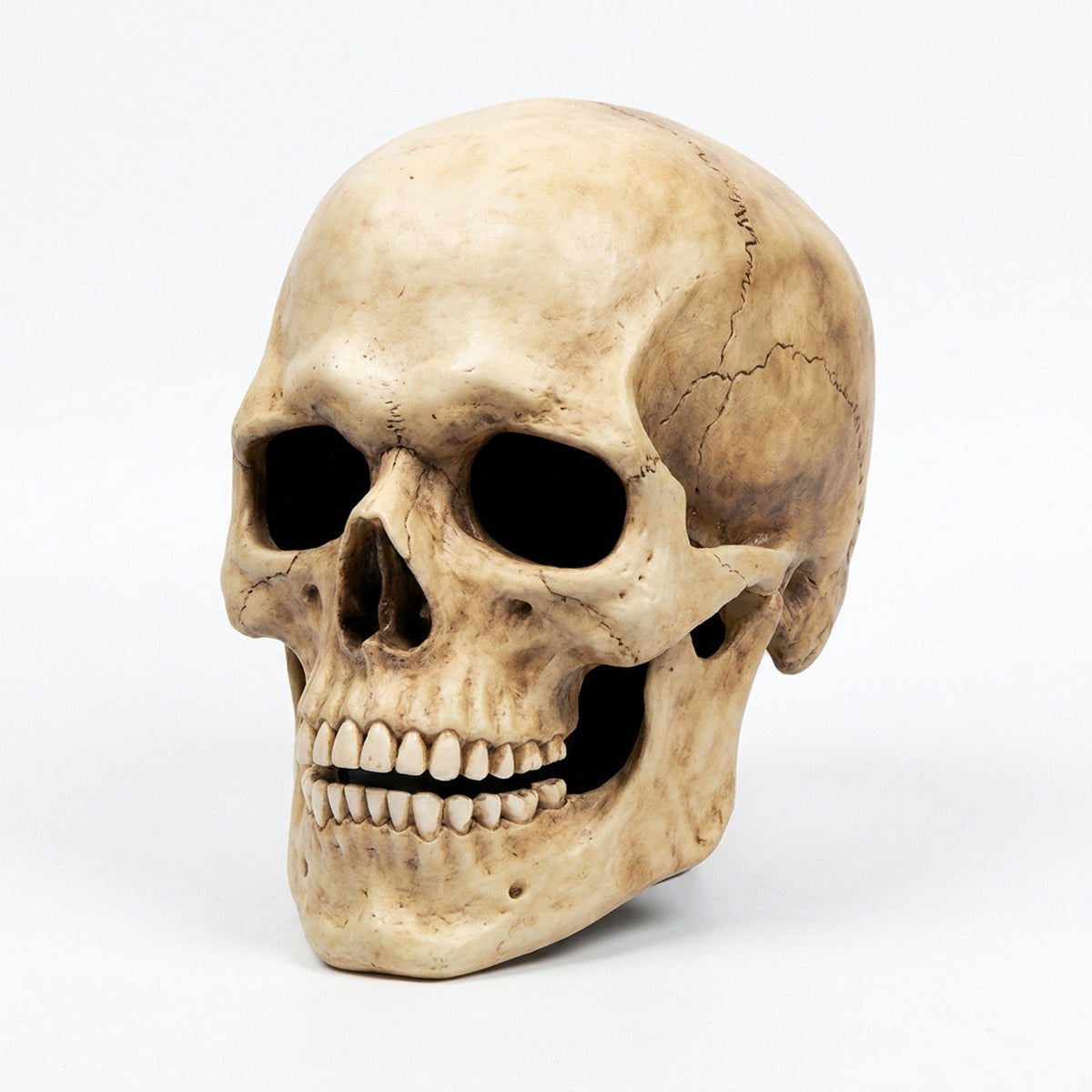 Bewegende Kaak Schedel Masker Volhoofd Latex Halloween Verkleedmasker Anatomisch Realistisch Horror Feest | Sulvida