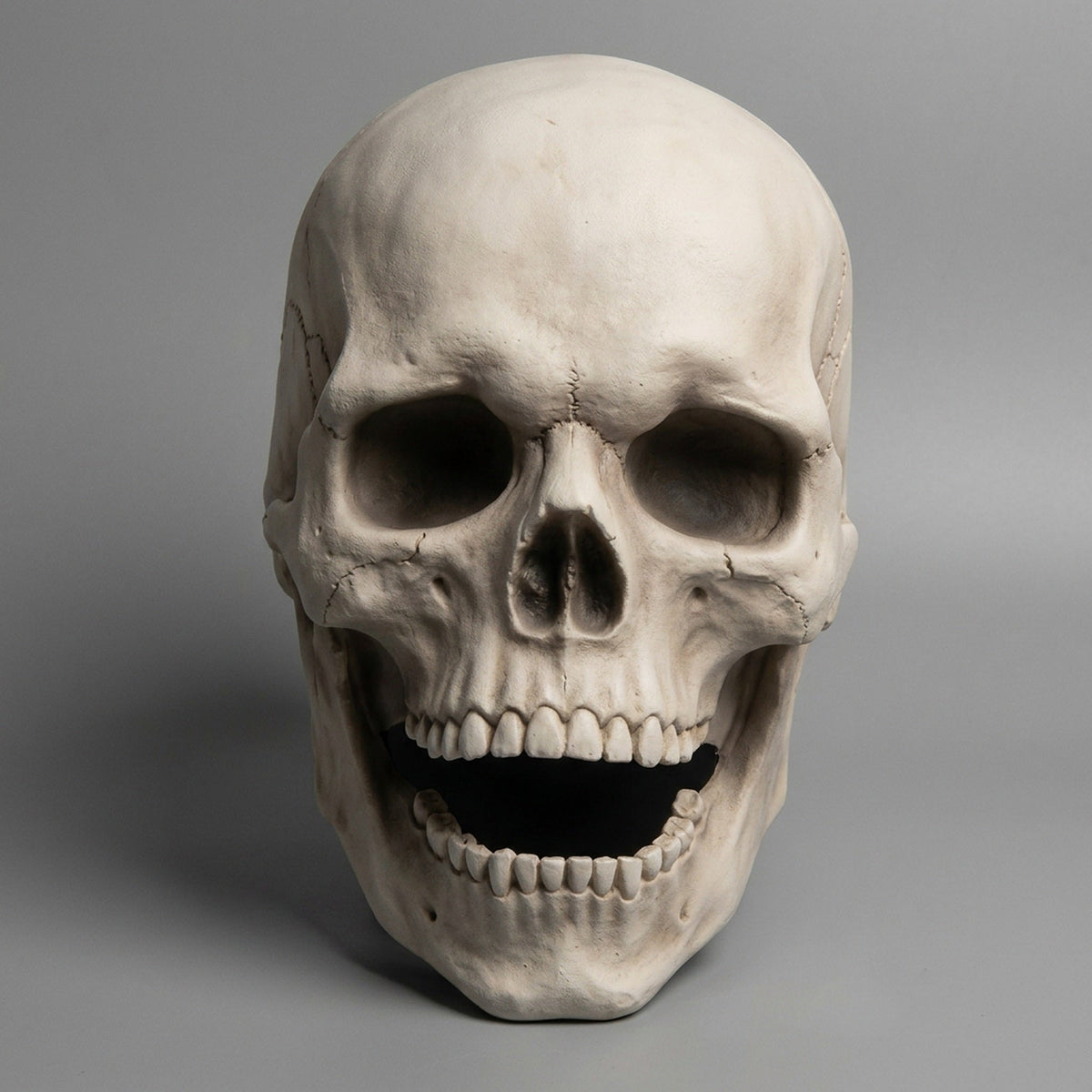 Schedel masker met beweegbare kaak volwassenen verkleedmasker Halloween horror hoofdbedekking themafeest | Sulvida