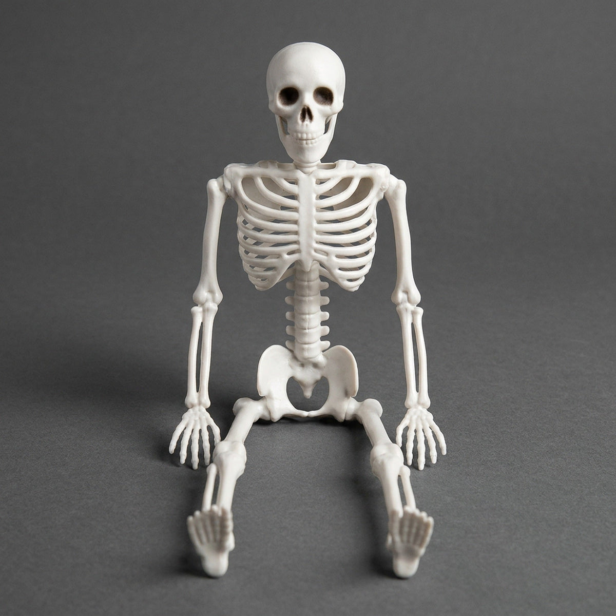 Poseerbaar Skelet 40 cm Wit Kunststof Halloween Decoratie Beweegbare Ledenpop Tafelmodel Griezelig Feest | Sulvida